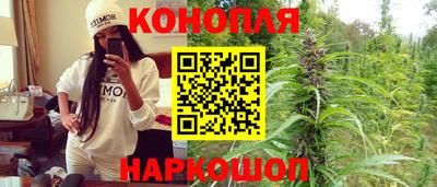 индика Гай