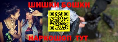 индика Гай
