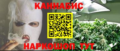 прущие грибы Гатчина