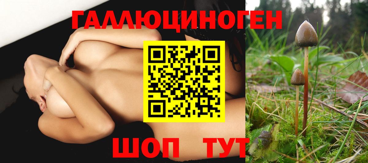 Галлюциногенные грибы Psilocybine cubensis Мариинск